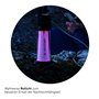 Lampe Torche Ledlenser 500929