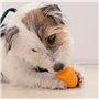 Jouet pour chien Ferplast Blanc Orange Caoutchouc animaux