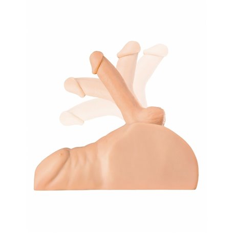 Vortex Dame Rose Pipedream PDX Plus Viande