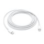 Câble USB-C Apple MUF72ZM/A Blanc 1 m