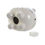 Tirelire Home ESPRIT Dolomite Chat 16 x 11 x 13 cm (2 Unités)