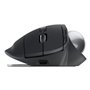 Souris Logitech 910-007260 Graphite