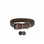 Collier pour Chien Trixie Active Comfort Noir L/XL 52-63 cm