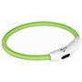 Collier à LED pour Animaux Trixie Vert XS/S