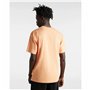 T-shirt à manches courtes homme Vans MN CLASSIC PRINT BOX VN0A5E7YD051 Orange