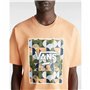 T-shirt à manches courtes homme Vans MN CLASSIC PRINT BOX VN0A5E7YD051 Orange