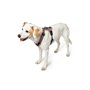Harnais pour Chien Hunter Rose 31-49 cm