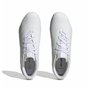 Chaussures de Futsal pour Adultes Adidas Predator Accuracy.4 Blanc Unisexe