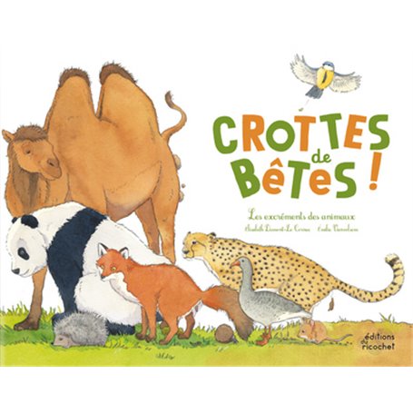 Crottes de bêtes - Les excréments des animaux