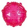 Jouet pour chien Trixie Caoutchouc TPR Ø 7 cm