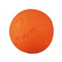 Jouet pour chien Trixie Caoutchouc Ø 7 cm