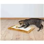 Grattoir pour Chats Trixie