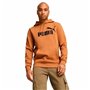 Sweat à capuche homme Puma Essentials Big Logo Hoodie Fl
