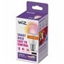 Ampoule à Puce Wiz F Blanc 60 W E27 806 lm (6500 K)