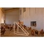Tour d'escalade pour poules - KERBL - 85 x 55 x 76 cm - Avec balançoire - Echelle robuste