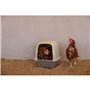 Pondoir pour poules - KERBL - 52 x 39 x 39 cm