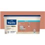 RIPOLIN Peinture esprit deco multi-supports 2,5l
