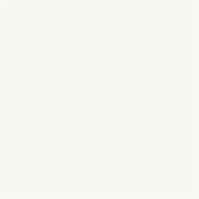 Image secondaire de RIPOLIN PROTECTION EXTREME FACADE BLANC Mat 10 L