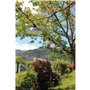 Guirlande solaire - Rio Vintage - 7,50 m - Gris