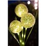 Décoration lumineuse - GALIX - G4510 -  Energie solaire : Fleurs