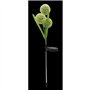 Décoration lumineuse - GALIX - G4510 -  Energie solaire : Fleurs