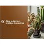 Substrat cactus & Plantes grasses - OR BRUN - OBRTCAC6U - 6L - Favorise la croissance