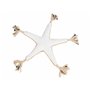 Jouet pour chien Trixie Polyester Coton Étoile de mer 32 cm