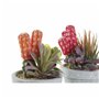 Plante décorative DKD Home Decor Rouge Gris Orange EVA PE (16 x 12,5 x 19,5 cm) (2 Unités)