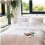 Couette spéciale câline - Tempérée - 240 x 220 cm - 250 g/m² - Blanc