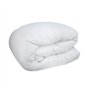 Couette spéciale câline - Tempérée - 240 x 220 cm - 250 g/m² - Blanc
