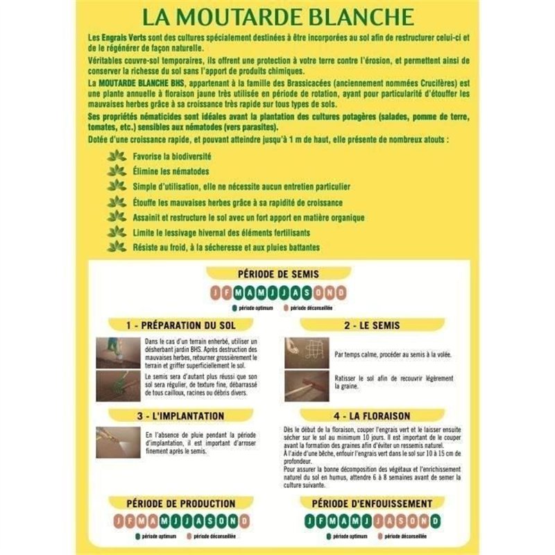 Image secondaire de Engrais Verts - BHS - Moutarde Blanche 500g | 100 m² | Améliore et désinfecte les sols pour une meilleure fertilité.