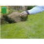 Gazon Regarnissage Terrain Sec - BHS - 1kg | 40 m² | Résistant et durable, avec excellente pérennité et tolérance aux piétinemen