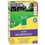 Gazon Regarnissage Terrain Sec - BHS - 3kg | 150 m² | Résistant et durable, avec excellente pérennité et tolérance aux piétineme