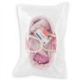 Accessoires poupons - COROLLE - Ensemble Couffin Peluche Rose - pour poupons 36 et 42 cm - des 3 ans