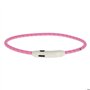 KERBL - Collier LED pour chien Maxi Safe