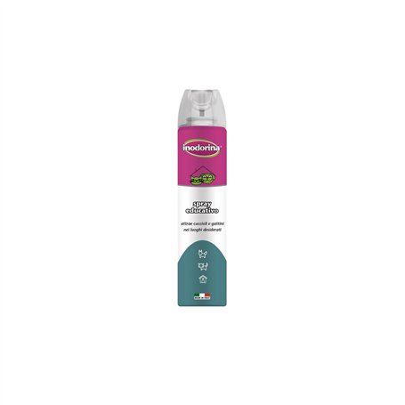 Brosse Inodorina Plastique