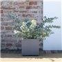 Pot de fleur Cube - DEROMA -  Millennium R - Ashgrey - A réserve d'eau - 25 cm
