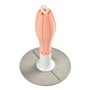 Béaba Biberonnerie Egouttoir Fleur Pliable Rose