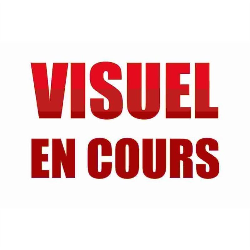 Washimals - Mes animaux à colorier - CRAYOLA - 4 animaux Pat'Patrouille - Dès 3 ans