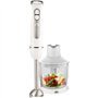 Set mixeur plongeant - FAGOR - FG349  1000 W  12 vitesses + pulse - Blanc