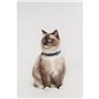Répulsif ultrason chat - TICKLESS MINI CAT - Protection tiques et puces - Greek Blue