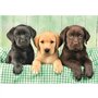CLEMENTONI - Compact 1000 pieces - Three Labs
