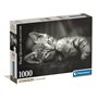 CLEMENTONI - Compact 1000 pieces - Kitty