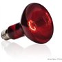 Ampoule chauffante pour terrarium - EXO TERRA - Basking Spot - Chaleur infrarouge - 100W