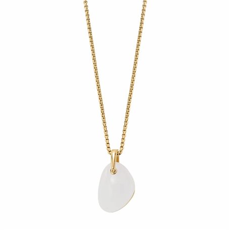 Collier Femme Skagen SKJ1552710