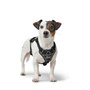 Harnais pour Chien Hunter DIVO UP Noir M