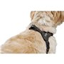 Harnais pour Chien Hunter SOHO MINI Noir