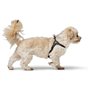 Harnais pour Chien Hunter SOHO MINI Noir XS