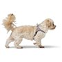 Harnais pour Chien Hunter SOHO MINI Lila XS/S