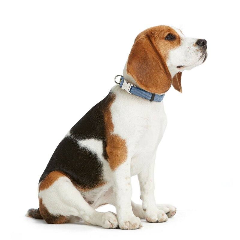 Image secondaire de Collier pour Chien Hunter VARIO BASIC Bleu L 40-55 cm